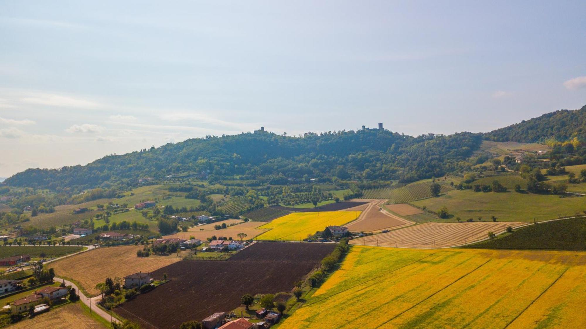 Agriturismo Riva Ratta Montecchio Maggiore Eksteriør billede